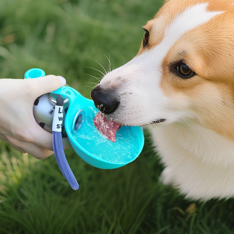 Portable water bottle for dogs going out