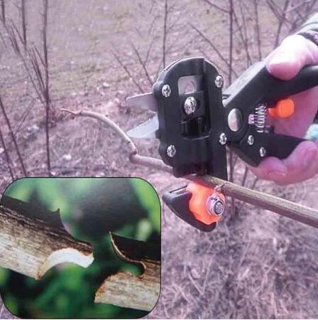 Professional Garden Grafting Tool Kit, Tree Grafting Pruner & Branch Cutter for Fruit Trees and Plants